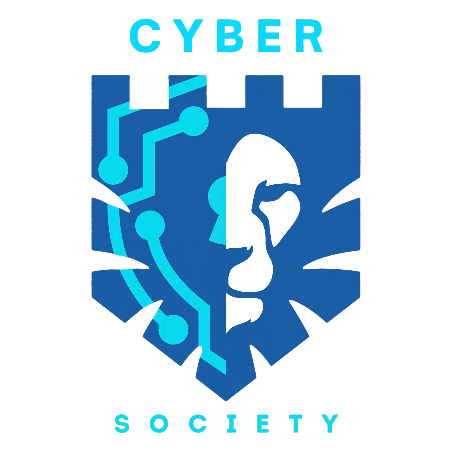Cyber Society
